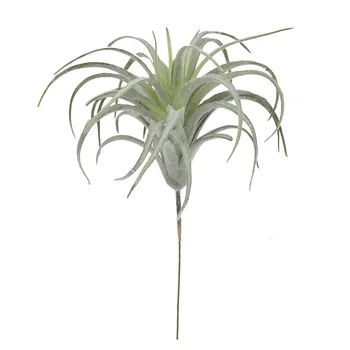 Tillandsia Növények Mesterséges Özönlött A Hamis Bromeliads Levegő Növények Lóg Szimuláció Növény Otthoni Dekoráció