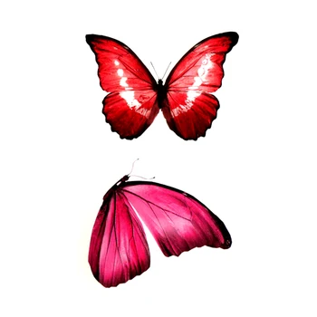 Piros Pillangó Vízálló Ideiglenes Tetoválás Tetoválás A Nők Hamis Tetoválás Férfi Állati Test Átviteli Tetoválás Tatuajes Henna Tetoválás Férfi