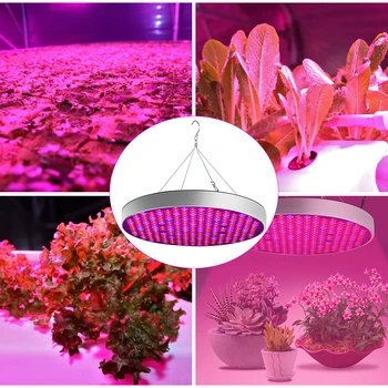 WAKYME Teljes Spektrumú 50W Nő LED Fény a Növények Beltéri Virágok, Palánták Növekvő Lámpák Üvegházak Nő Sátor 1