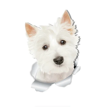 3D-s Aranyos Tacskó Kutya West Highland White Terrier Kutya Autó Matrica Külső Tartozékok Vinyl Matricák a Wc Falra Bmw Audi Jeep