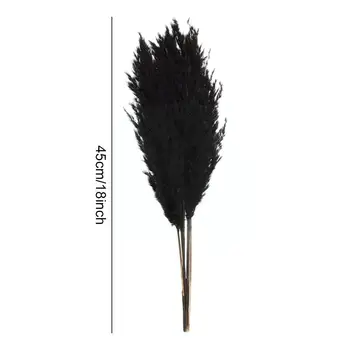 Természetes Szárított Pampas Fekete Esküvői Virágok Csapat lakberendezési Phragmites Virág Karácsony Gyönyörű Reed Fű Z7W8 5