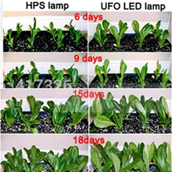 nő lámpa E27 Teljes Spektrumú beltéri világítás LED Nő Könnyű Phytolamp a növények, Palánták Izzó üvegházak Hidroponikus Világítás 4